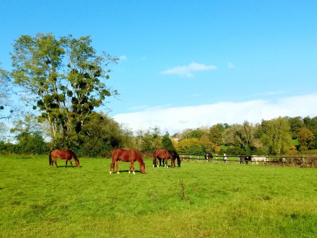 Relais Equestre Du Miloir - Chambres D'Hotes Saint-Desir Eksteriør billede