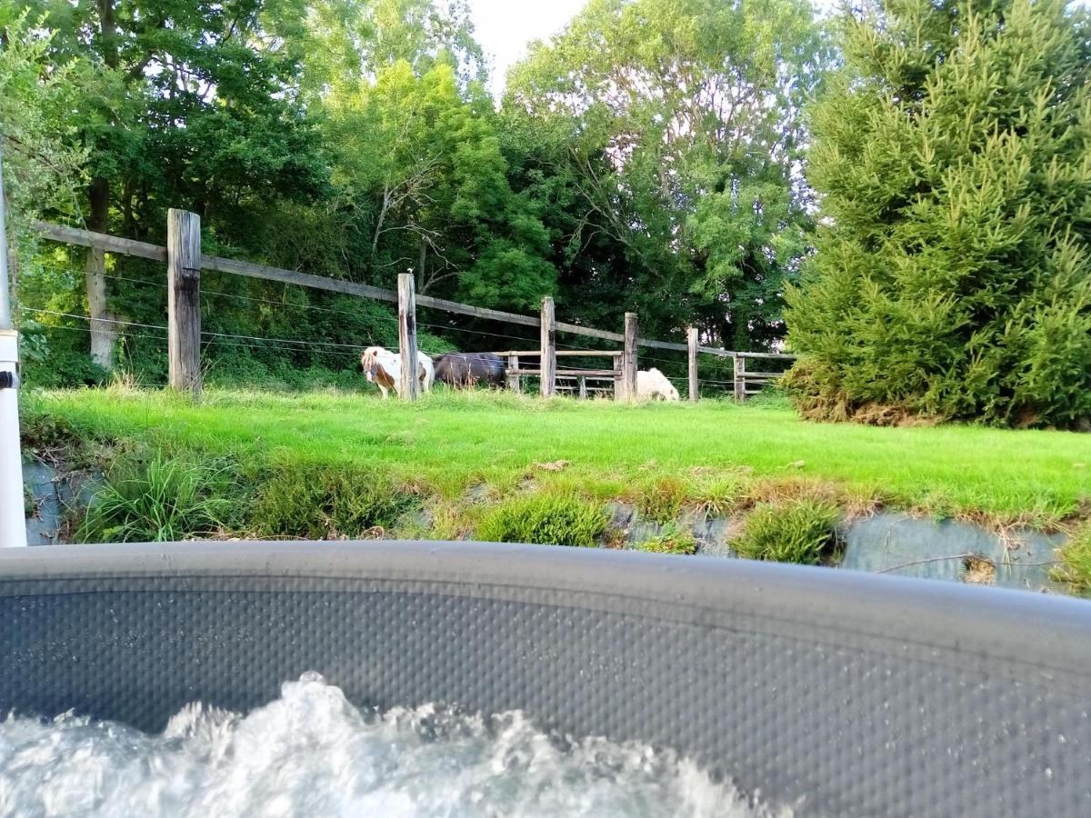 Relais Equestre Du Miloir - Chambres D'Hotes Saint-Desir Eksteriør billede