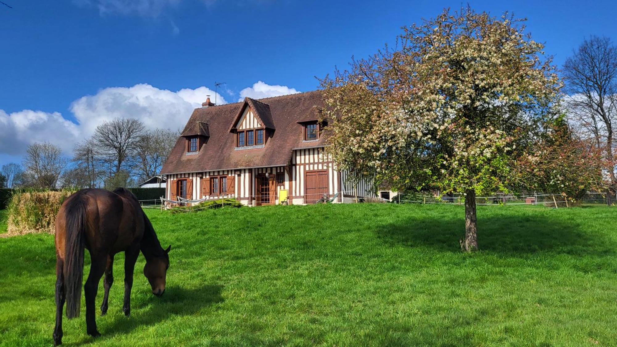 Relais Equestre Du Miloir - Chambres D'Hotes Saint-Desir Eksteriør billede