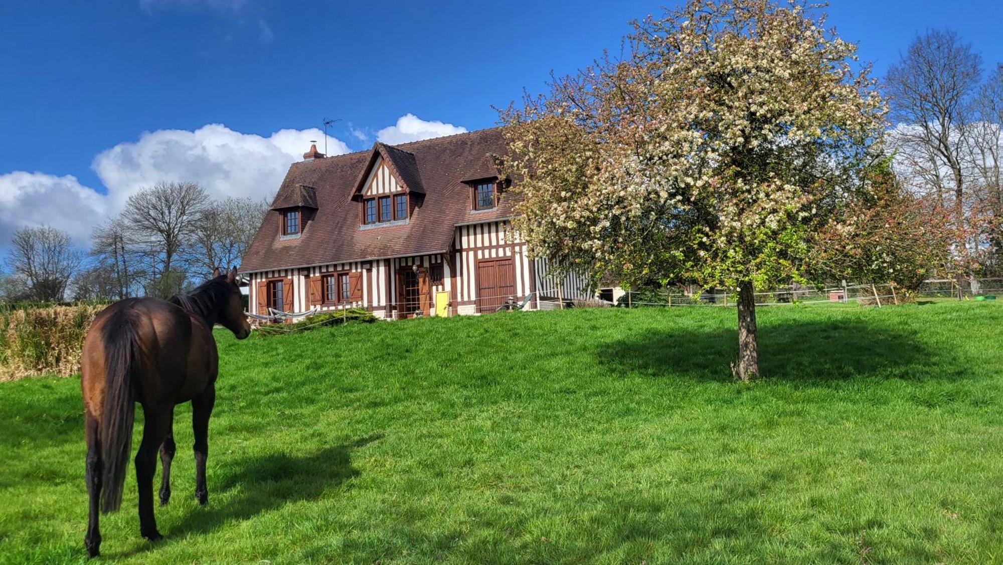 Relais Equestre Du Miloir - Chambres D'Hotes Saint-Desir Eksteriør billede